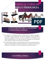 Anatomayfisiologaanimald 230929033447 1a136a93