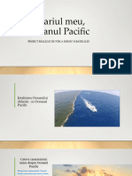 Acvariul Meu, Oceanul Pacific