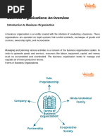 Business Organisations An Overview