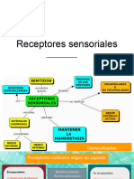 Sesión 6 Receptores y Vías Sensitivas 22092022