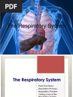 Respiratory System