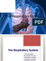 Respiratory System