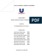 Sistema Nervioso Central y Endocrinologia