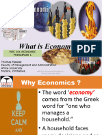 1 Introduction Economics