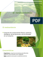 El medioambiente