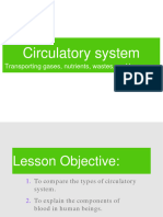 Circulatory-System Grade 10