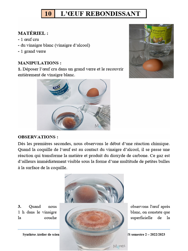 Faux œufs rebondissants - 10x - caoutchouc - marron - œufs factices avec balle