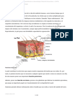 T1. UD1. Introducción a la Dermatología