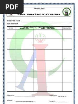 Daily Activity Report