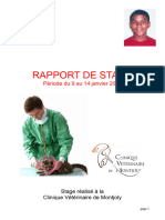 17-12-10 Exemple de Rapport de Stage