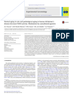 Normal Aging in Rats and Pathological Aging in Human Alzheimer's Disease Decrease FAAH Activity - Modulation by Cannabinoid Agonists