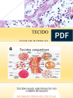 Tecido Conjuntivo Novo