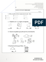 Examen 1° Ortografía