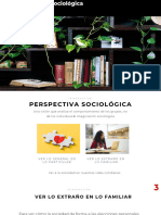 Perspectiva Sociológica (II)