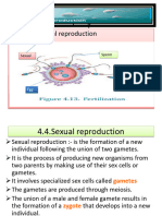Unit4 Reproductive Structure