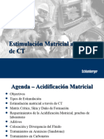 252M402 Concepto General de Acidificacion Matricial Con CT - Nivel 1 - ES