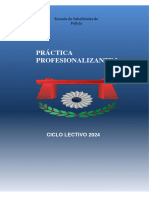 Manual Practica Profesionalizante 1 2024 PDF