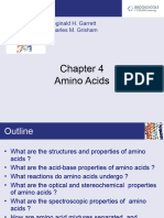 B Amino Acids
