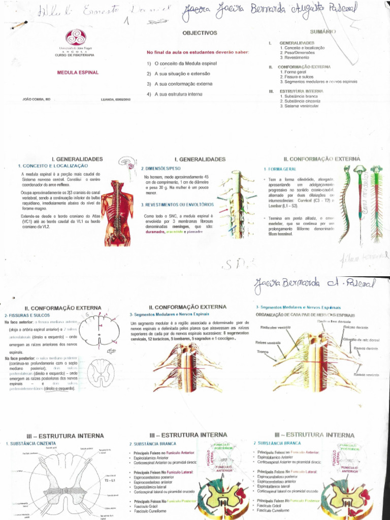 Medula Espinal Pdf
