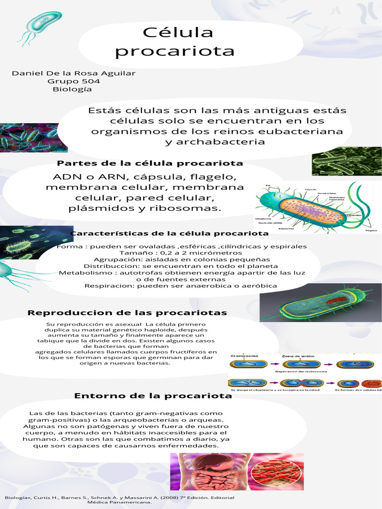 Características de las células procariotas | PDF | Hogar, jardinería y ...