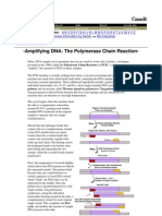 Amplifying DNA - PCR