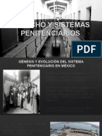 V DERECHO Y SISTEMAS PENITENCIARIOS (Penología - Sist Penit Mexico 1ra Part Tema V