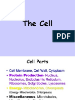 Cell Presentation Full