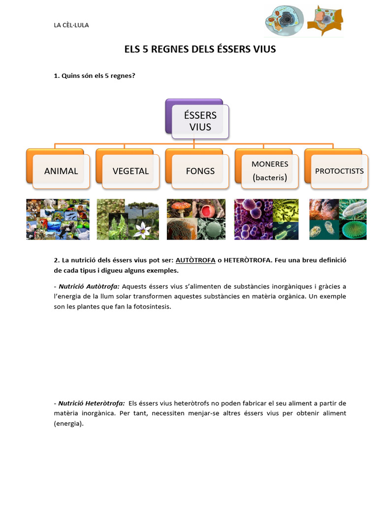 Els 5 Regnes Dels Éssers Vius | PDF