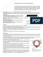 ENFERMEDAD DIVERTICULAR DEL COLON Enciclopedia Cirugía Digestiva