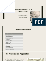 Tmj/The Mastication Apparatus: Sadia Hassan Khan Mphil Oral Biology