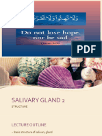 Salivary Gland 2