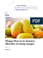 Mango Heaven in Jamaica (Benefits of eating mango)