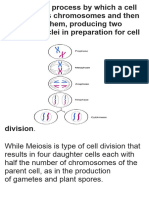 Mitosis and Meiosis My Research by Cxrlo