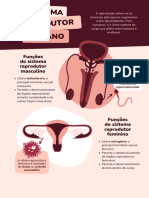 Cartaz de Ciências Funções do Sistema Reprodutor Humano 