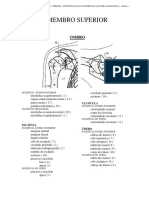 Roteiro de Anatomia Radioloì Gica M1