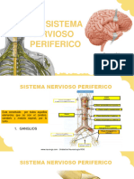 SX Sistema Periferico 1