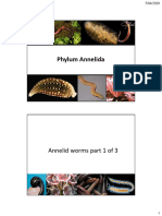 Annelids