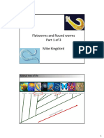 Platyhelminthes & Nematode 2pp