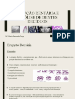 Erupção Dentária e Rizólise de Dentes Decíduos (Aula3)