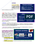 Presion Arterial 