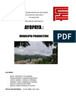  Informe AYOPAYA 