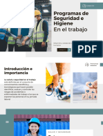 PROGRAMAS DE SEGURIDAD E HIGIENE EN EL TRABAJO