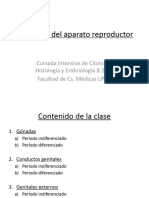 Folio Nº34 Desarrollo Reproductor Histo B-2019