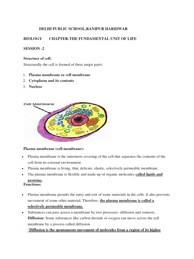 Cell Structure and Membrane Functions | PDF | Osmosis | Cell Membrane