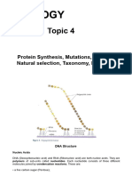 A Level Biology Topic 4 Notes