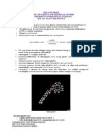 Lecture 6 Photosynthesis