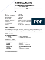 Curriculum Vitae