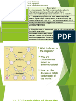 Cytological Basis of Monohybrid Crossing