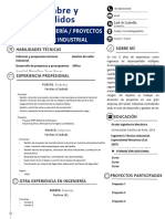 template CV AÑOS DE EXPERIENCIA