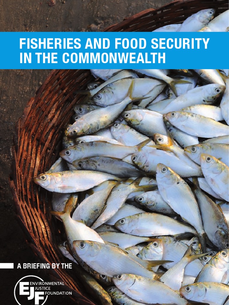 Fisheries and Food Security in The Commonwealth: A Briefing by The ...